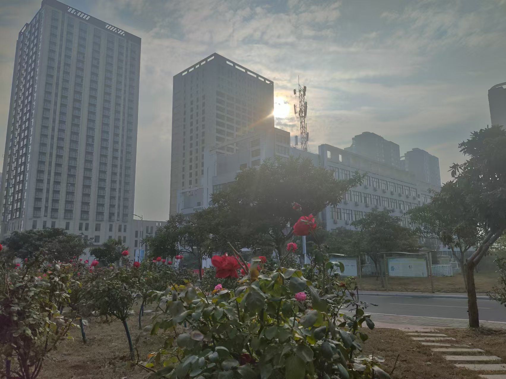 太阳集团官网网址