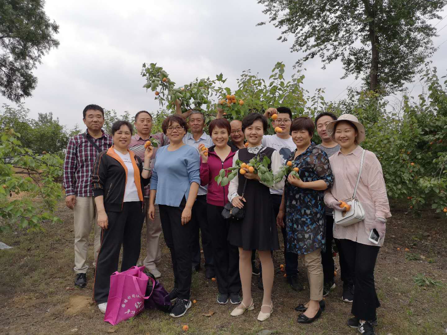 太阳集团官网网址