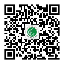 太阳集团官网网址