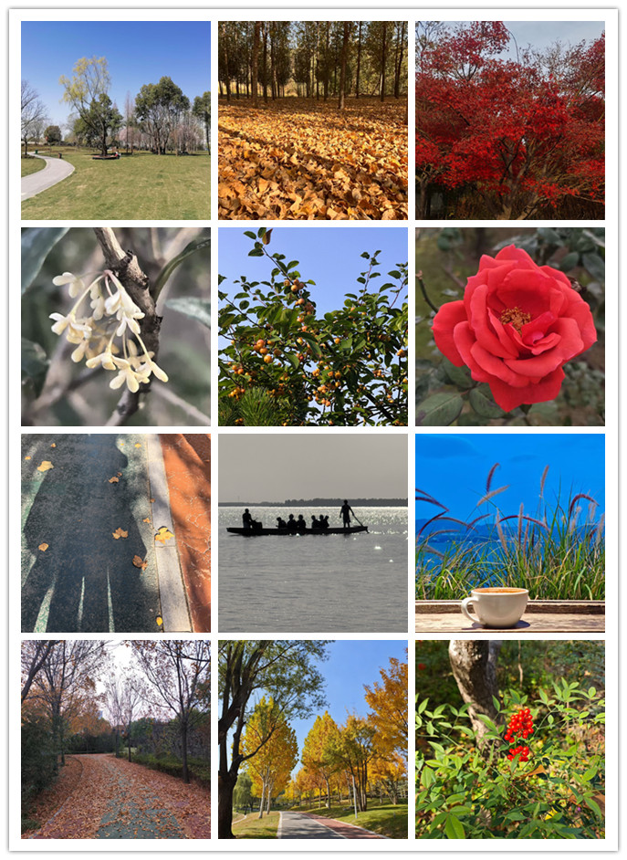 太阳集团官网网址